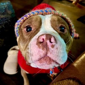 Meet your Posher, Moriah